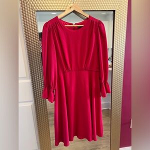 Maggy London Double Lined Dress with Ruffled Sleeves Women’s 12